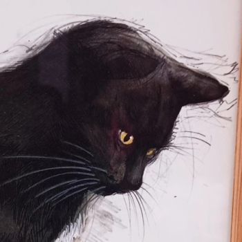 Preview: altes dänisches Bild - Katze (ausverkauft!)