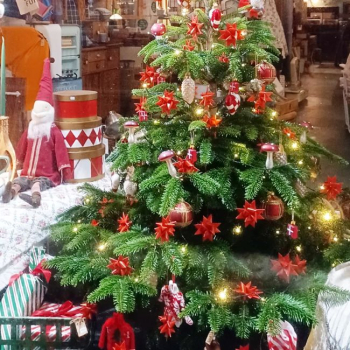 Preview: Bastelset - Fröbelsterne