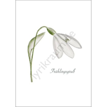 Postkarte - Frühlingsgruß