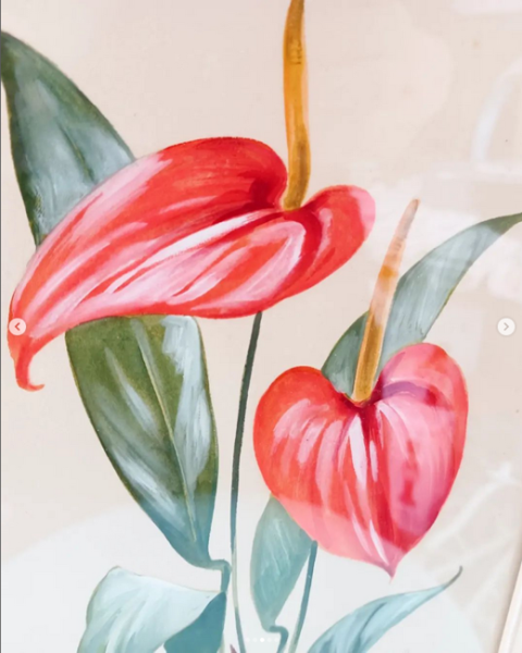 altes Bild - Flamingoblume